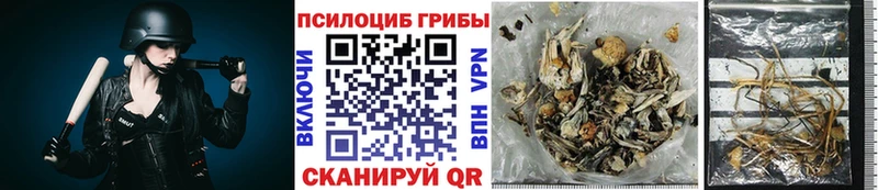 где можно купить Шлиссельбург Галлюциногенные грибы мухоморы